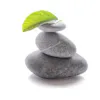 Creating Well Being - Provincetown