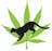 Cougar Cannabis logo
