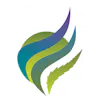 Great Northern Cannabis – Dimond