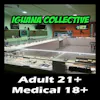 Iguana Collective