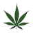 Mount Vernon Cannabis logo