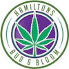 Hamiltons Bud & Bloom