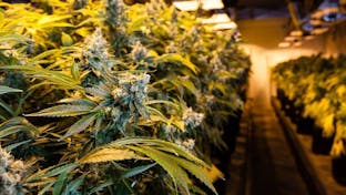 Cover photo for Fillabong 2 - Bremerton