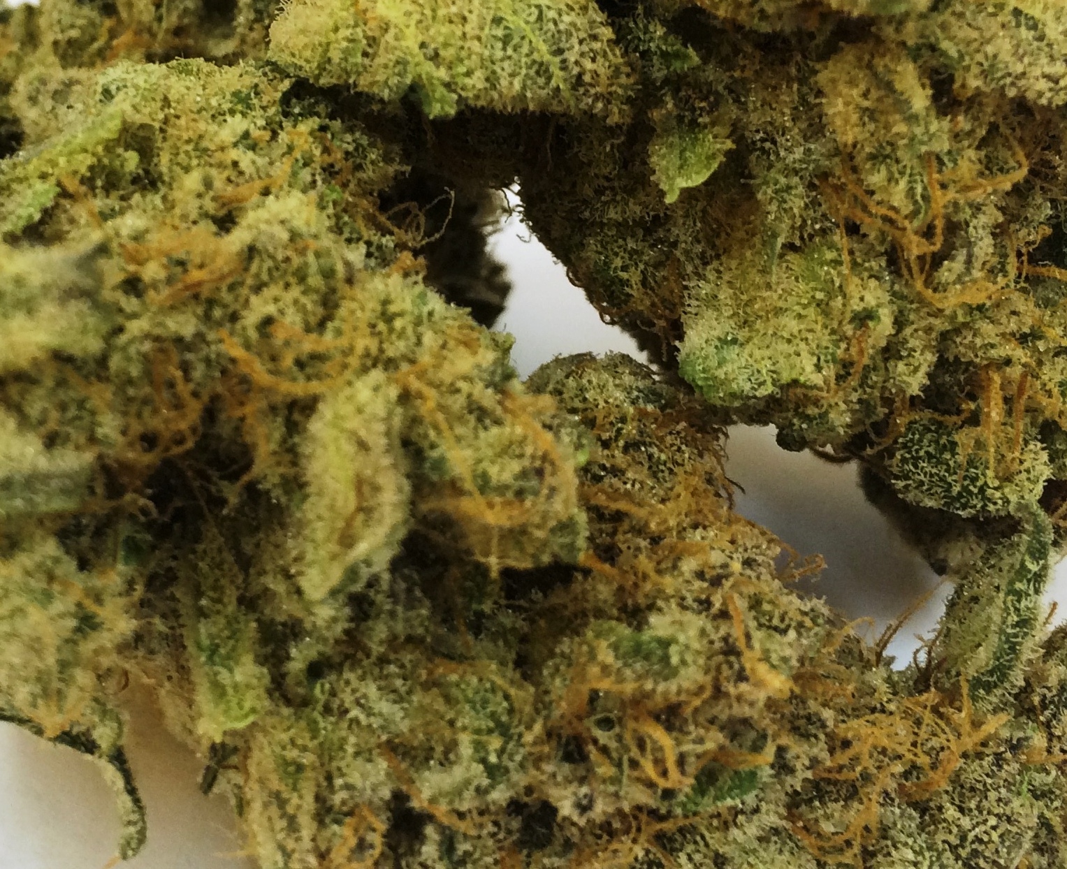 Rare Earth Organics
