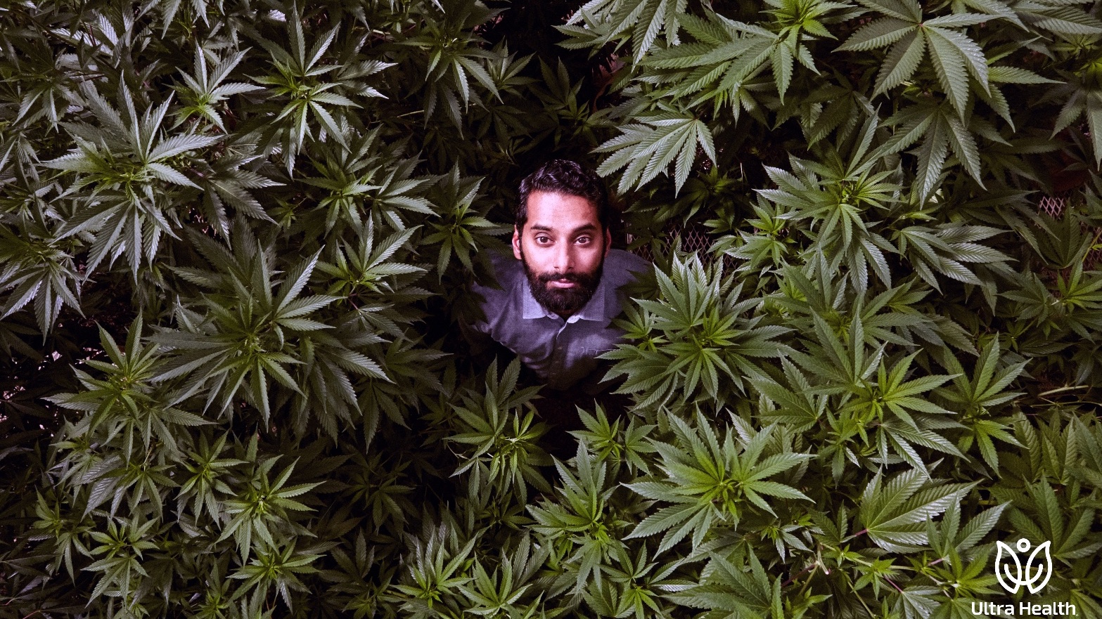 Ultra Health Albuquerque - Nob Hill Birdland — Dispensaries in Albuquerque, NM