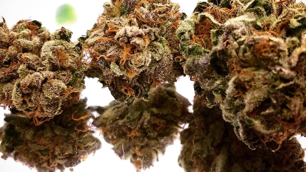 The Hemp Center CO Springs Dispensary Menu, Reviews & Photos