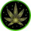 Logo for Celestial Buds- Calgary-Memorial Drive NE