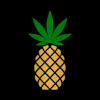 Pineapple Express Delivers