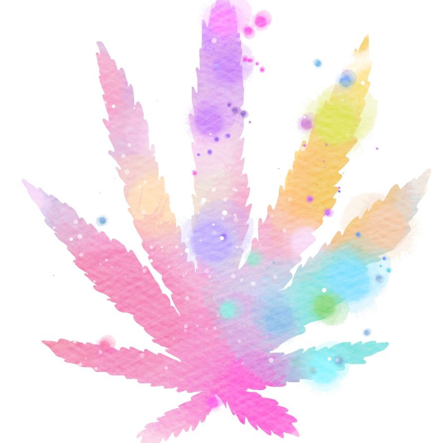 CannaConciergePC — Dispensaries in Palm Coast, FL