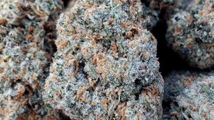 Cover photo for Hotbox Farms - Ontario