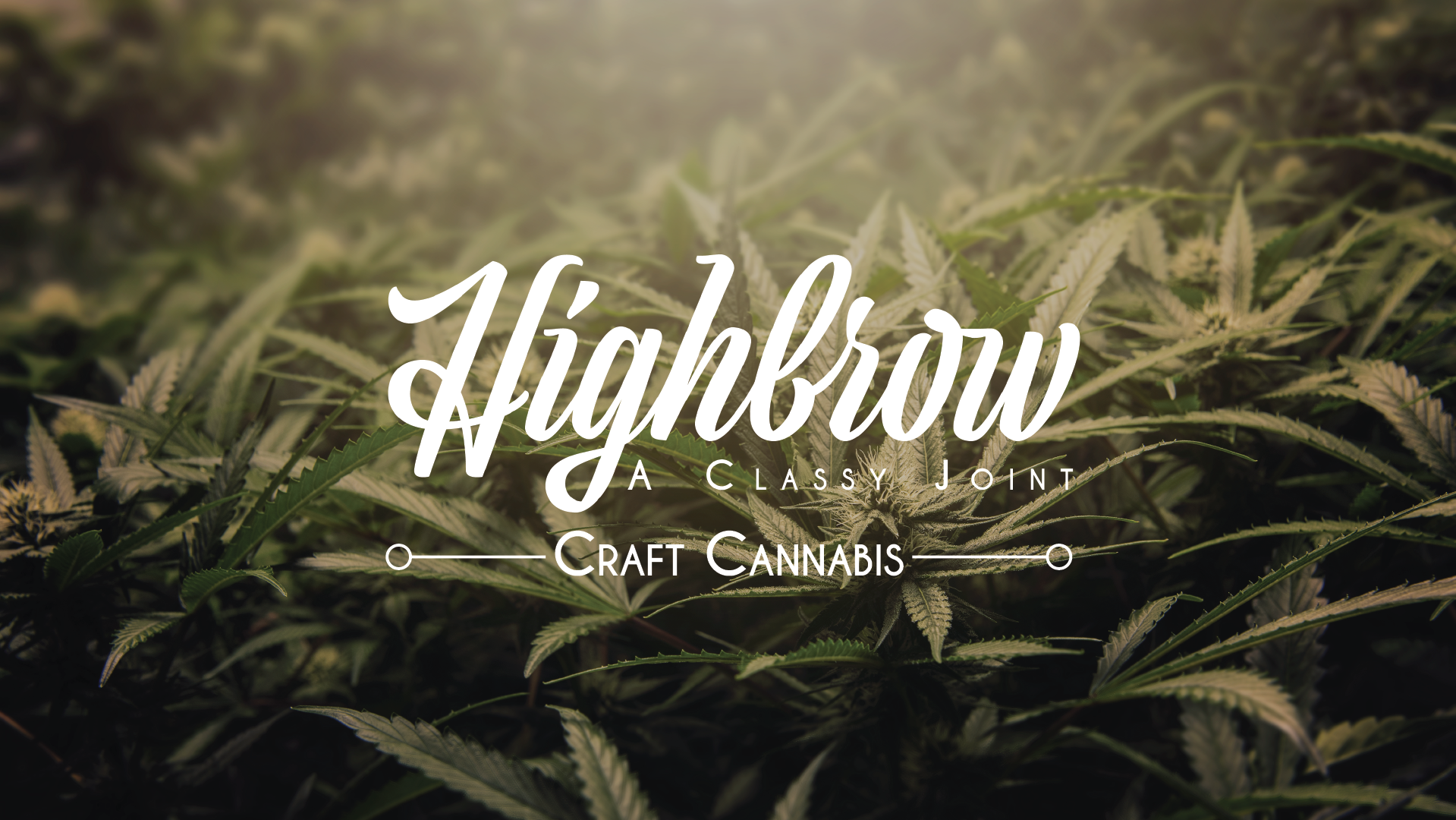 leafly highbrow manchester