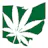 Medical Marijuana Physicians of Ohio logo