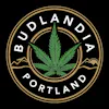 Budlandia - Division St.