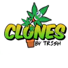 Clones by Trish