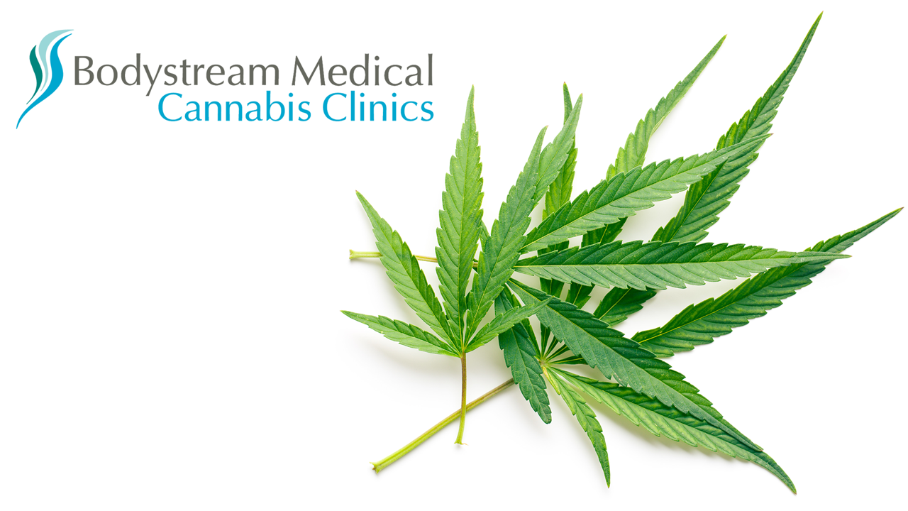 Bodystream Medical Cannabis Clinic - Barrie