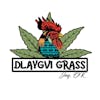 Dlaygvi Grass