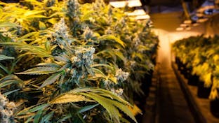 Cover photo for Fillabong - Silverdale