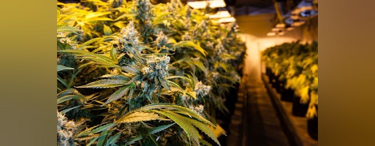 Fillabong - Silverdale