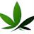 The Green Box Cannabis - Innisfail logo