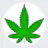 Mind-Full The Cannabis Store - Yellowhead logo