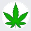 Mind-Full The Cannabis Store - Yellowhead