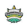 Collective Awakenings