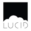 Lucid - Auburn