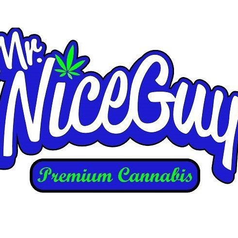mr nice guy logo