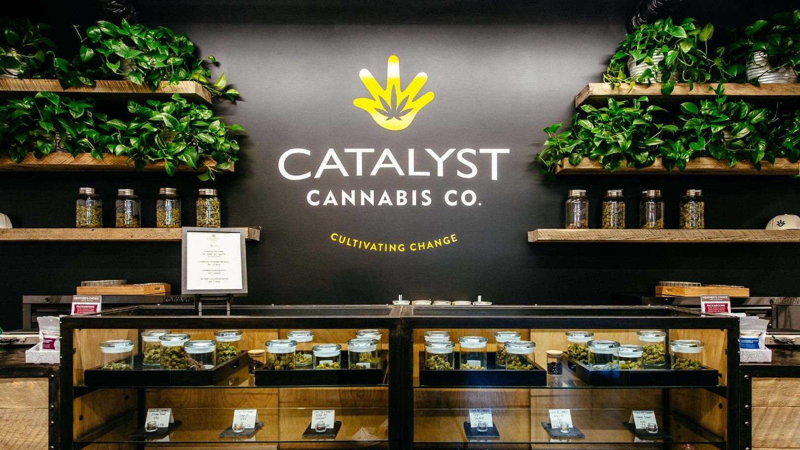 Catalyst Cannabis: Top Quality Marijuana Dispensary Near You