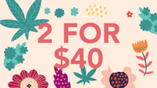 2/$40 Prepacked 3.5g – Michigrown, The Original J… image