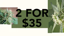 2/$35 Chews – Camino image