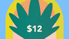 $12 Cartridges 2g – Muha Meds image