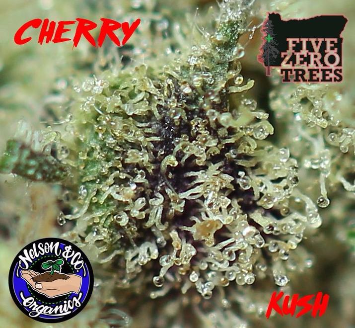 Five Zero Trees West Portland, OR Dispensary Leafly