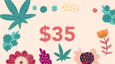 $35 Rosin 1g – Peachy Hash & Co., Apex Solventles… image