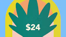 $24 Infused Packs 3g, 3.5g – Bud & Mary's, Cali… image