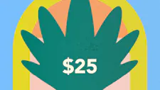$25 Disposable 2g – Breez, Cookies image