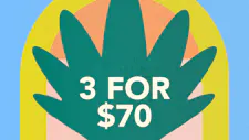 3/$70 Live Resin Disposable 1g – Jeeter, Frankl… image