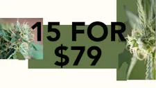 15/$79 Cartridges 1g – Mac Pharms, Platinum Vap… image