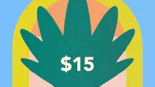 $15 Chocolates – Detroit Edibles Bar, Kiva Terr… image