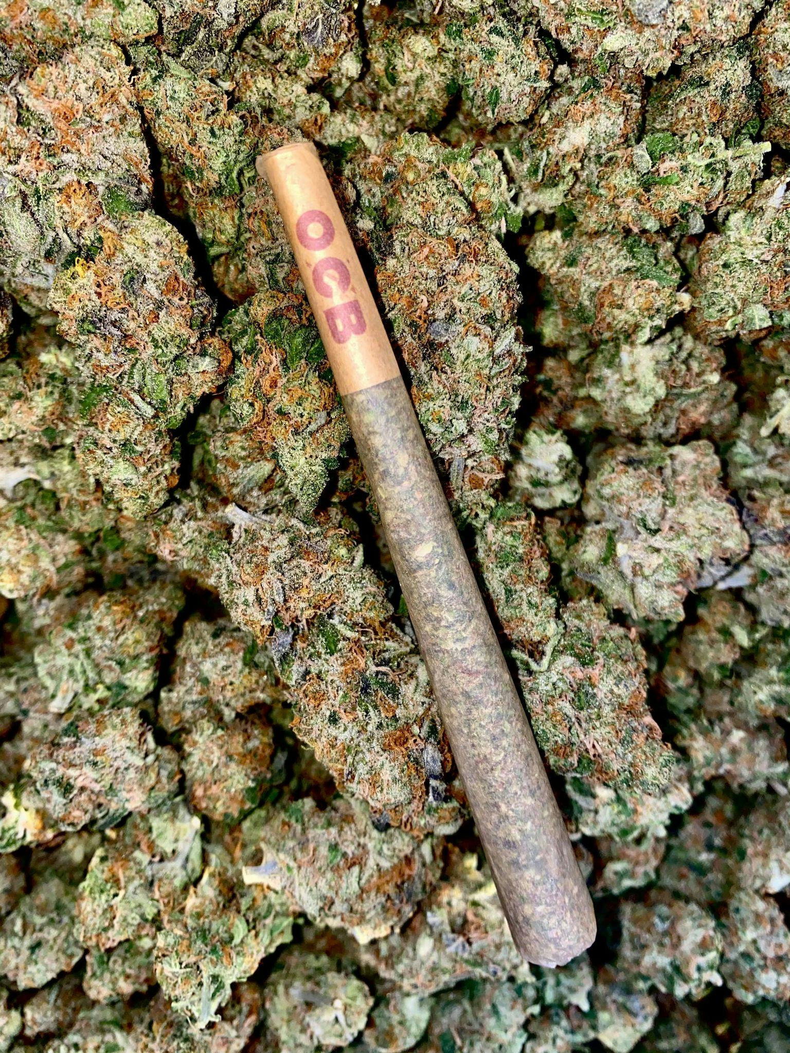 Down To Earth Dispensary 96 - pw11hqc