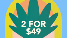 2/$49 Infused Live Resin Packs – Mitten Extracts image