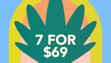 7/$69 Cartridges 2g – Muha Meds image
