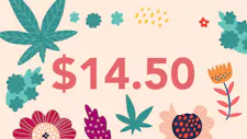 $14.50 Infused Pre-Roll 2g – Jeeter image