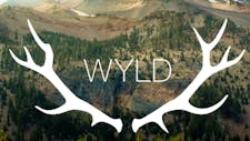 25% OFF WYLD GUMMIES, Rec & Medical image