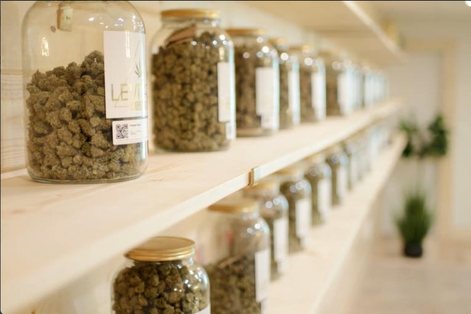 Levitate Cannabis Durant Durant, OK Dispensary Leafly