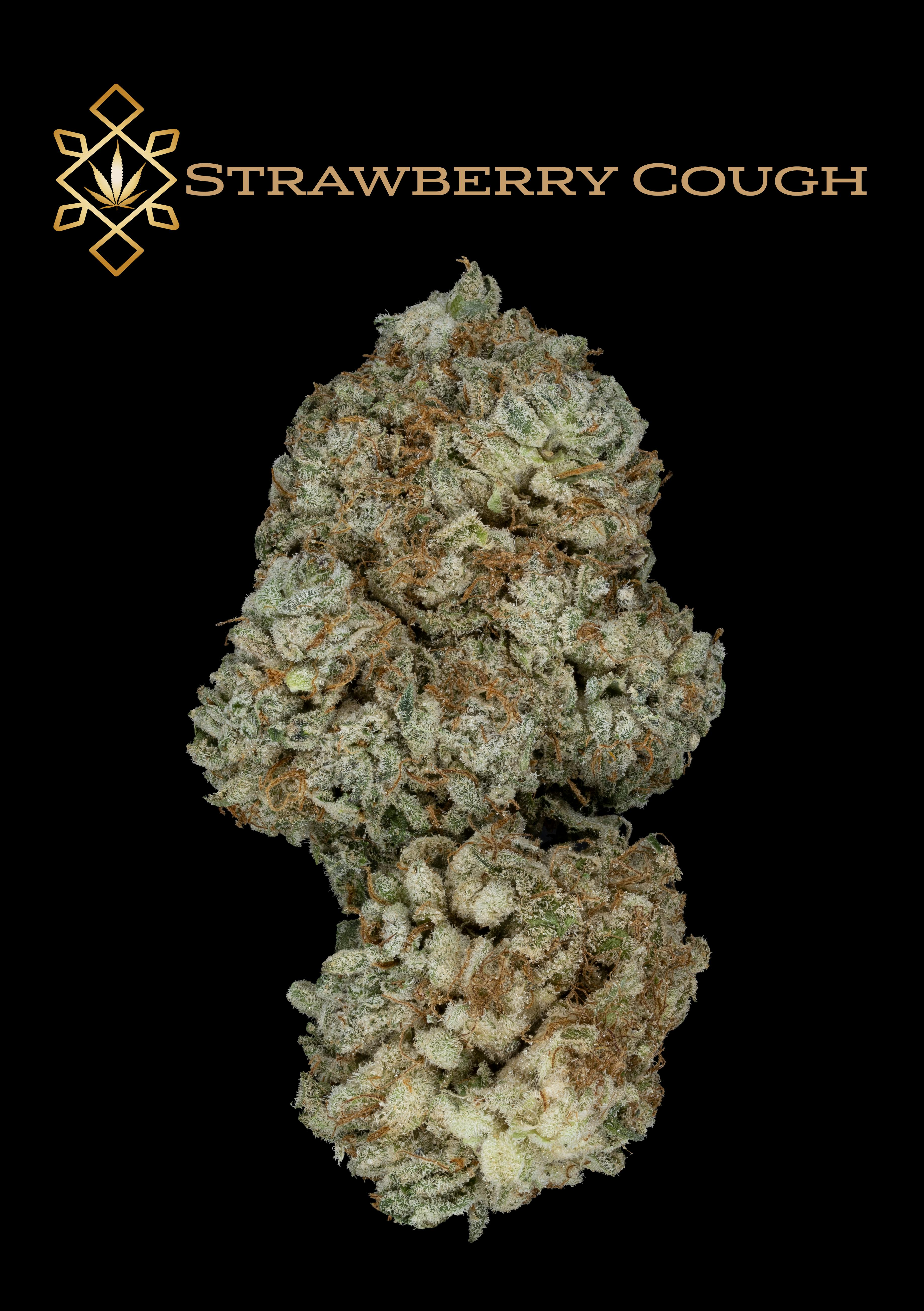 Dancing Turtle Greenery Salamanca, NY Dispensary Leafly