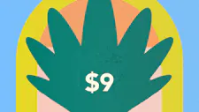 $9 Cartridges 1g – Jungle Juice, RedBud Roots,… image