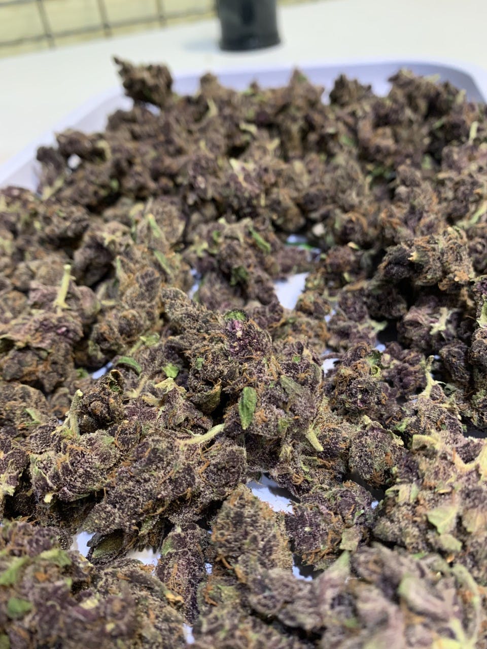 Lake & Leaf Benzonia (Recreational) Benzonia, MI Dispensary Leafly