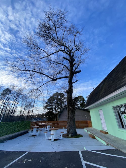 The Hemp Store Raleigh CBD store in Raleigh, NC Leafly