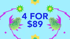 GDF: 4 for $89 Live Concentrate 1g image